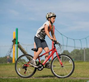 bike safety flag halfords